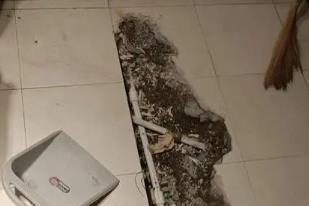 丰顺卫生间漏水检测电话
